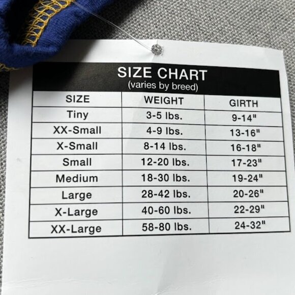 NCAA UCLA Bruins Cheerleader Dog Dress, Tiny - Picture 4 of 5